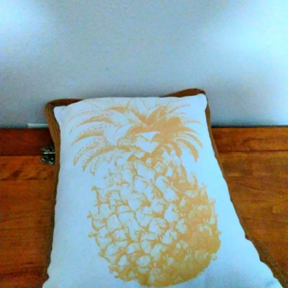 Pinnaple Print Accent Decor Pillow